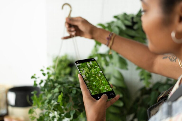 Plant Augmented Reality
